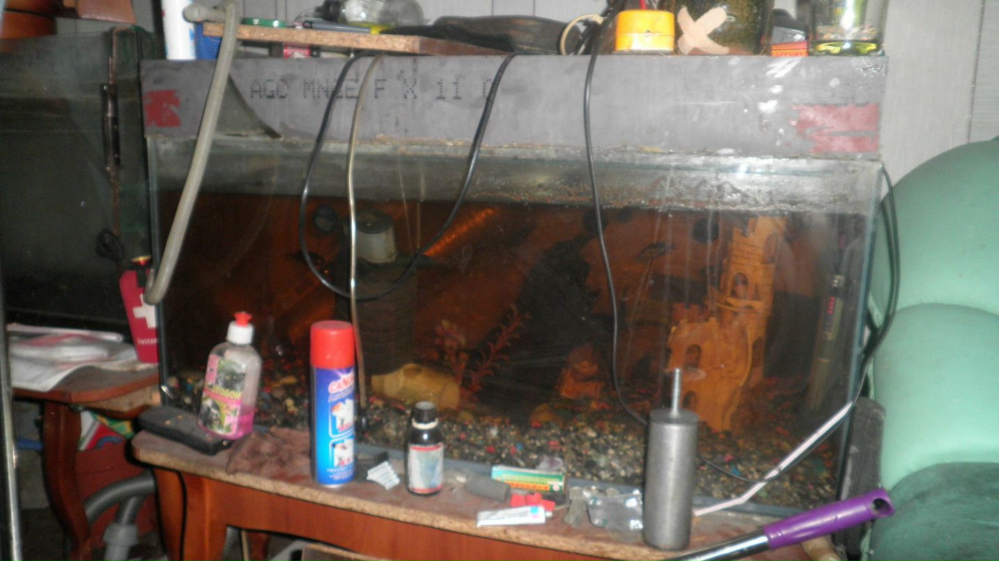 Роман Дуров | Горловка