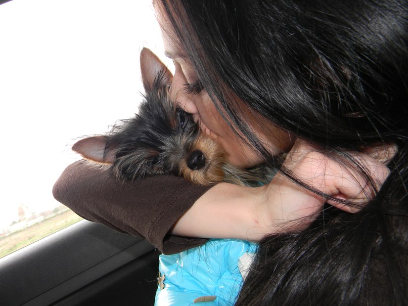 Христина Гадомська | Львов