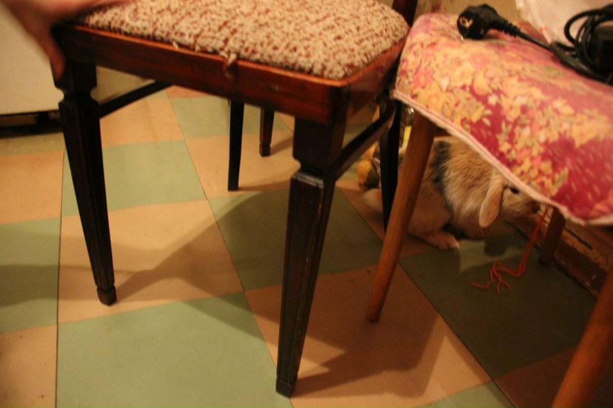 Константин Тарадыменко | Санкт-Петербург