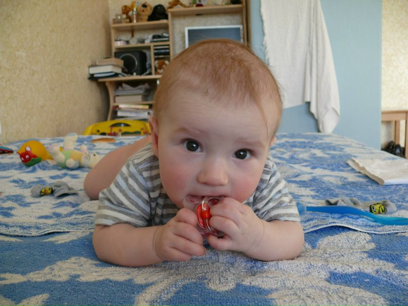 Ольга Дмитриева | Великий Устюг