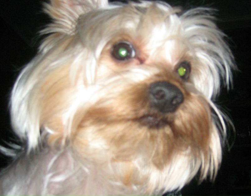 Алексанр Прытков | Самара