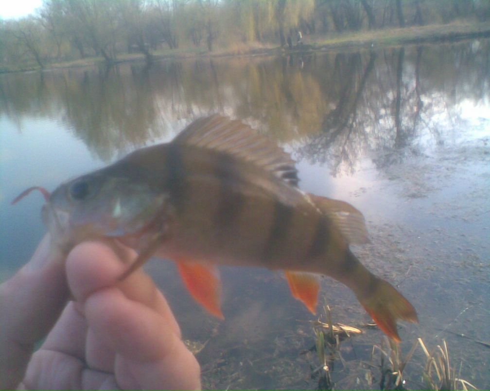Сергей Батаргин | 