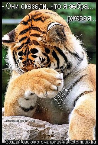 Славик Никонов | Санкт-Петербург