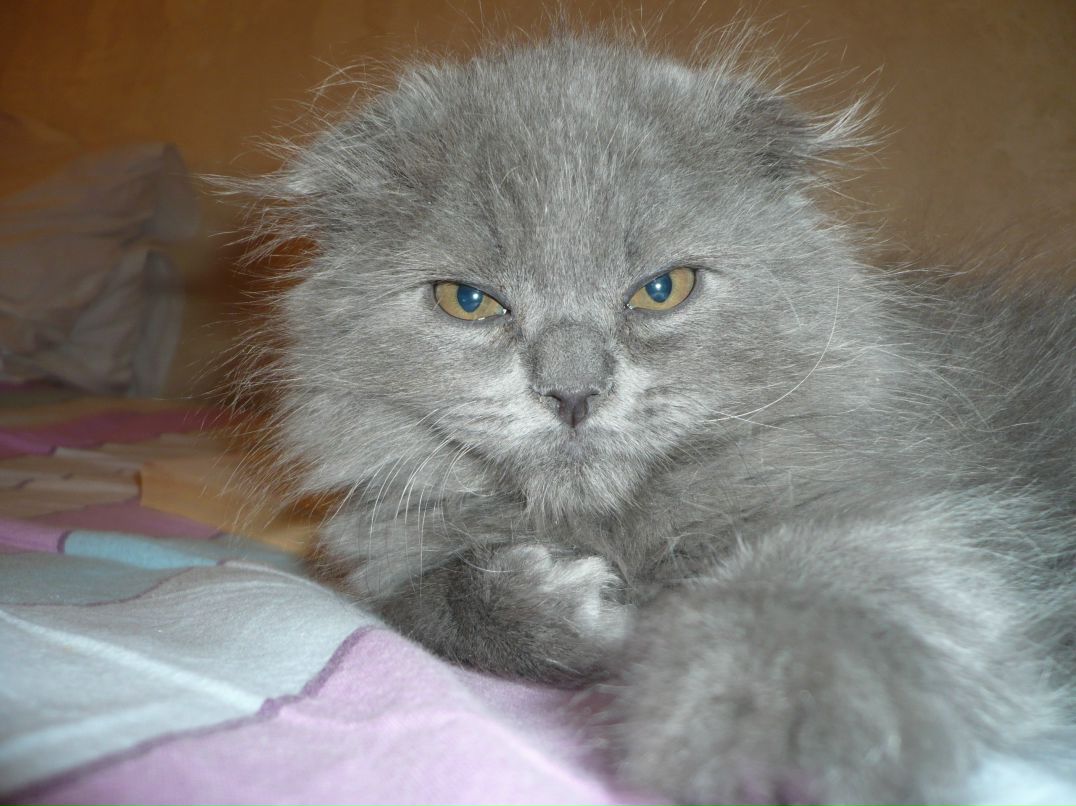 Лилия Акишина | Новосибирск