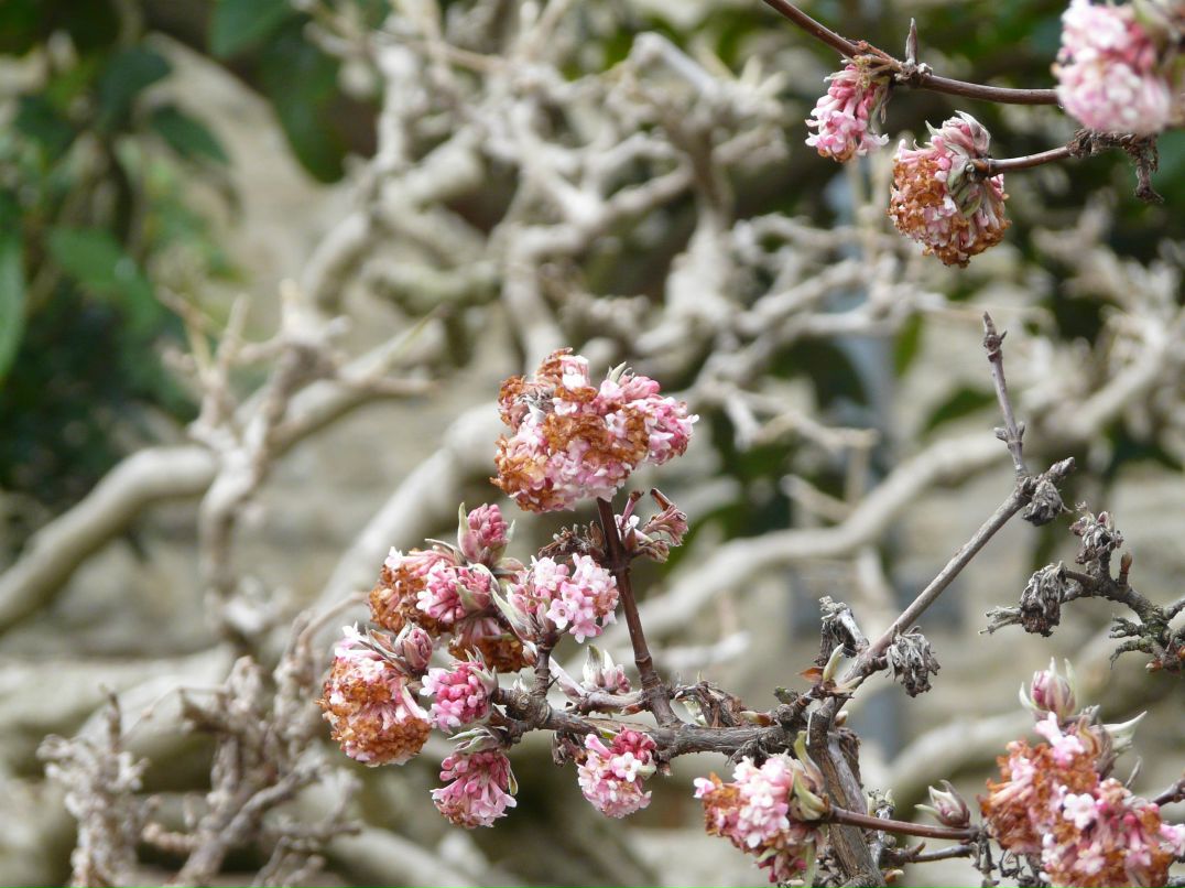 Олеся Слепцова | Москва
