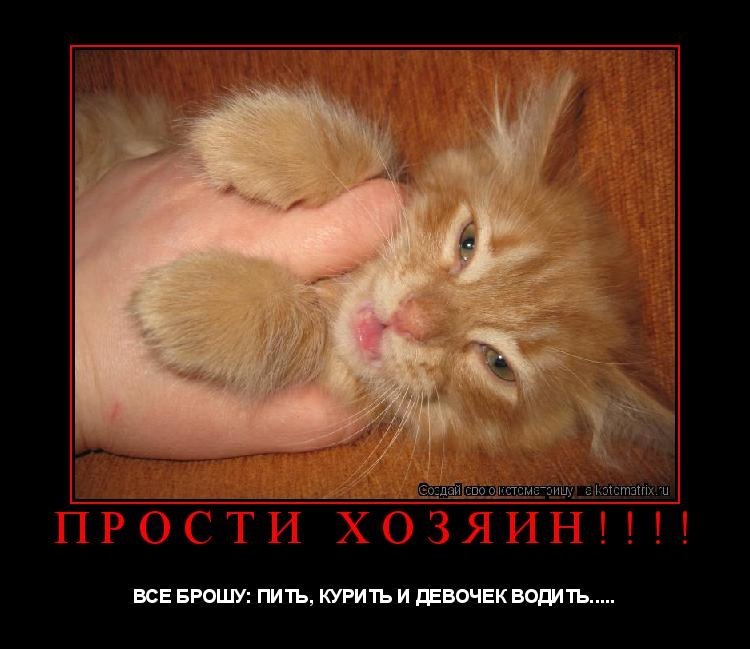 Михаил Попелышкин | Санкт-Петербург