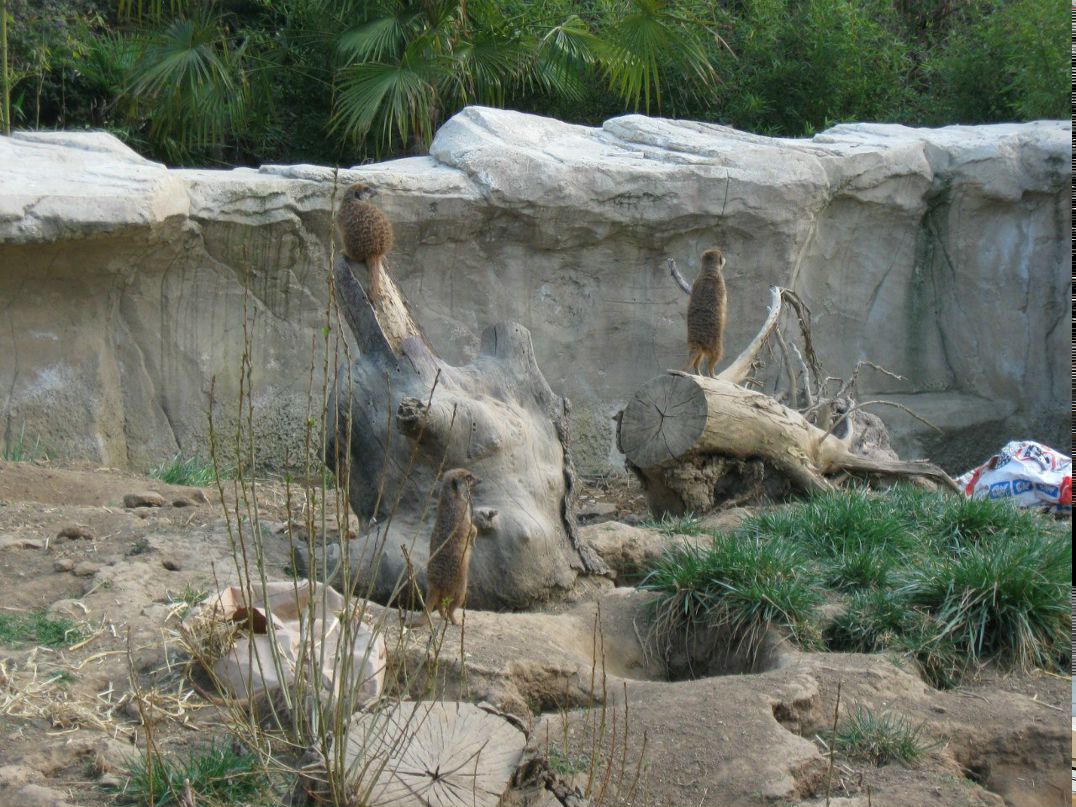 Алёна Чертушкина | Darfo Boario Terme