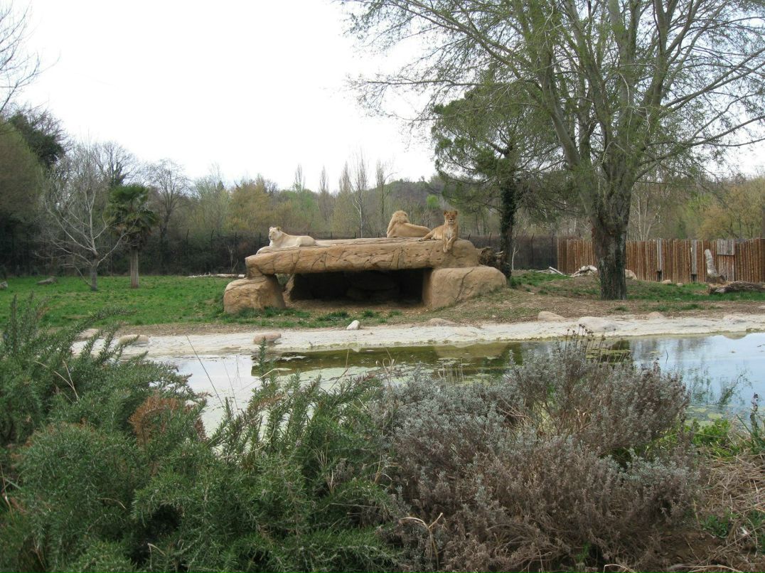 Алёна Чертушкина | Darfo Boario Terme