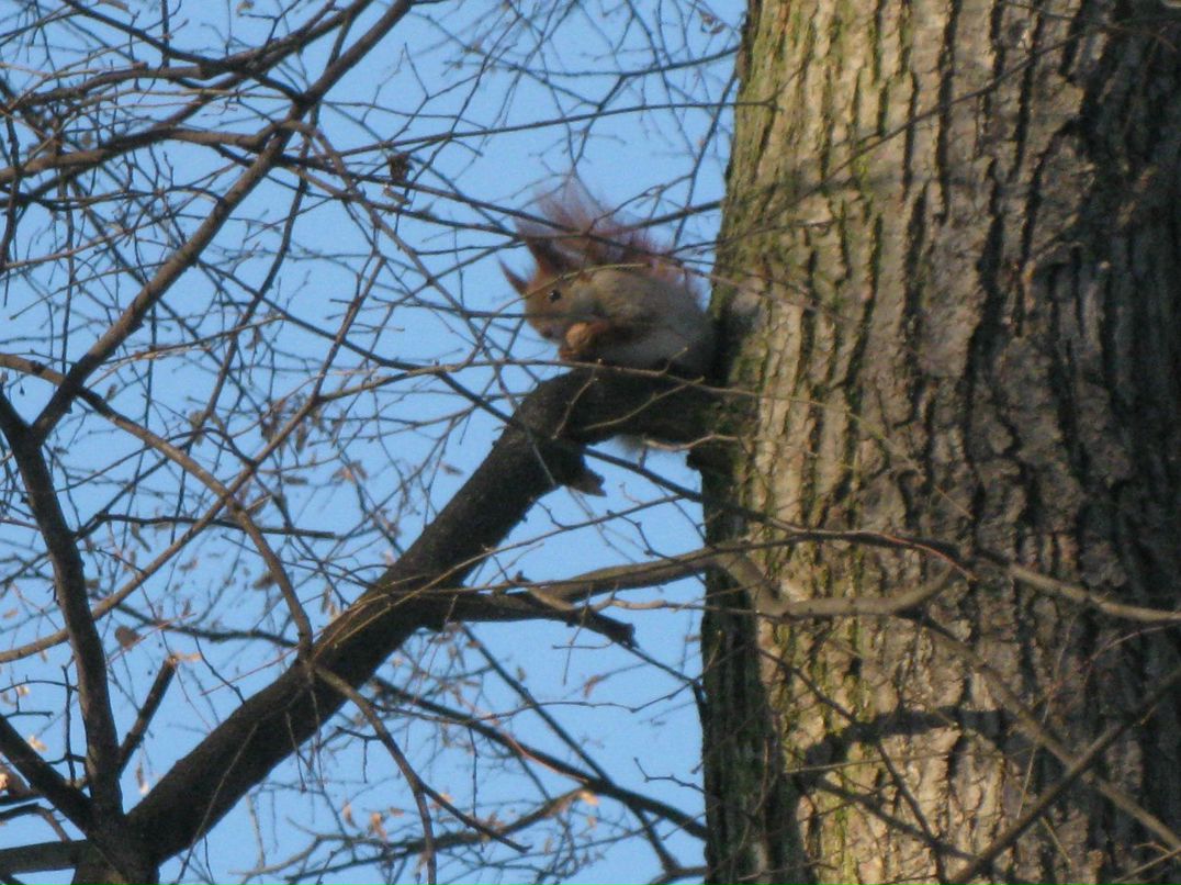 Макс Лукьяненко | Саратов