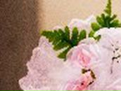 Алевтина Добровольская | Новосибирск