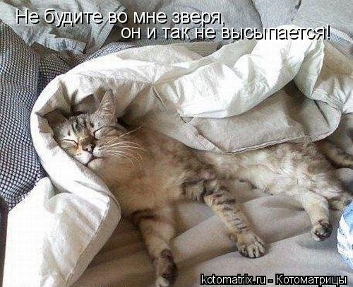 Юлия Канцыбка | Днепр (Днепропетровск)