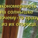 Эмиль Алиев | Баку