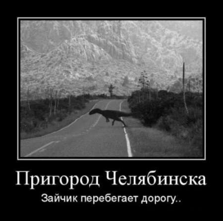 Света Журавлева ♥♥♥Scratch-cat♥♥♥ | Москва