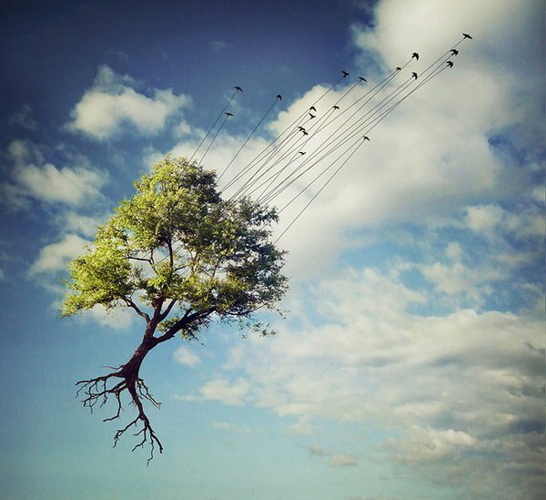 Ольга Черемуха | Усть-Илимск