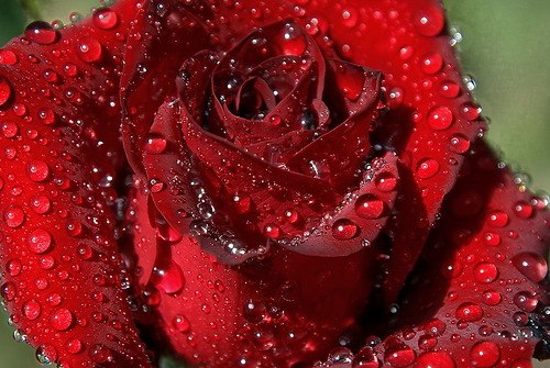 Юлия Сподорец | Днепр (Днепропетровск)