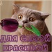 Наталия Погасий фотография #26