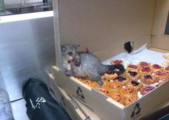 №106, Тетяна Кучерова, Киев №106, Тетяна Кучерова, Киев