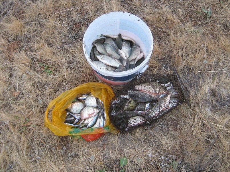 Владимир Чехлов | Самара