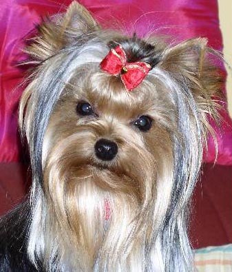 Неля Юсупова | Тобольск