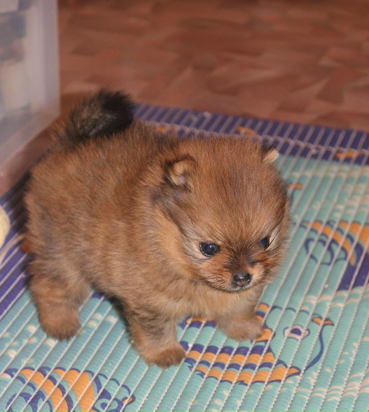 Мария Власенкова | Санкт-Петербург