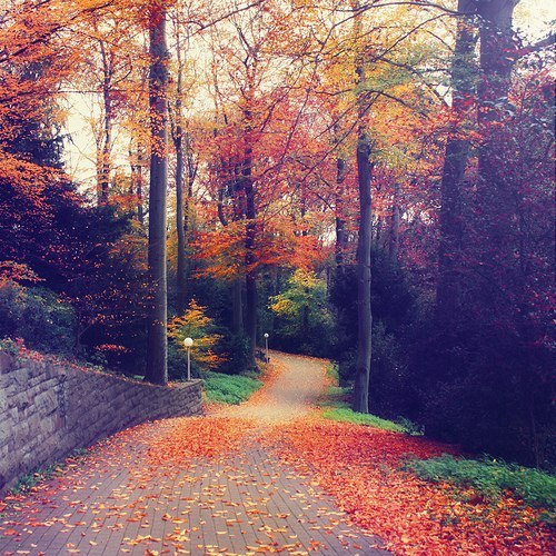 Серёжа Зусман | Череповец