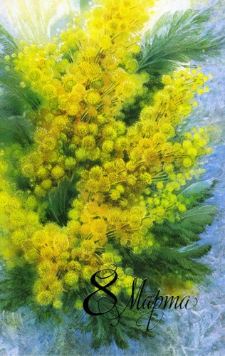 Нина Владимирская | Санкт-Петербург