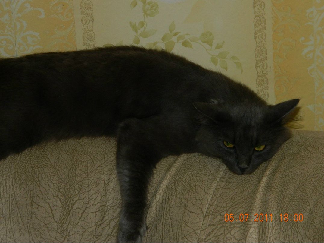 Евгений Мельниченко W | Челябинск