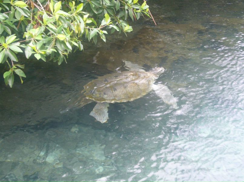 Гари Алексанян | Москва