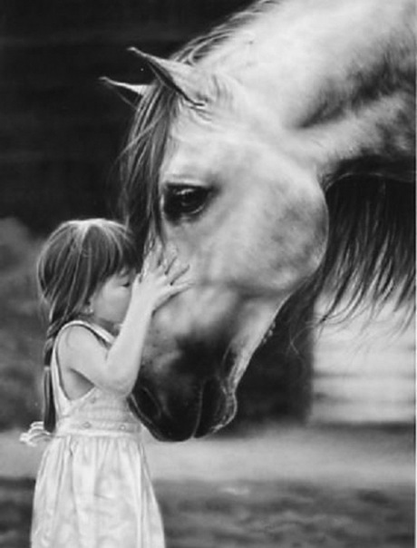 №189, Алиса Шиллингер, Сочи №189, Алиса Шиллингер, Сочи