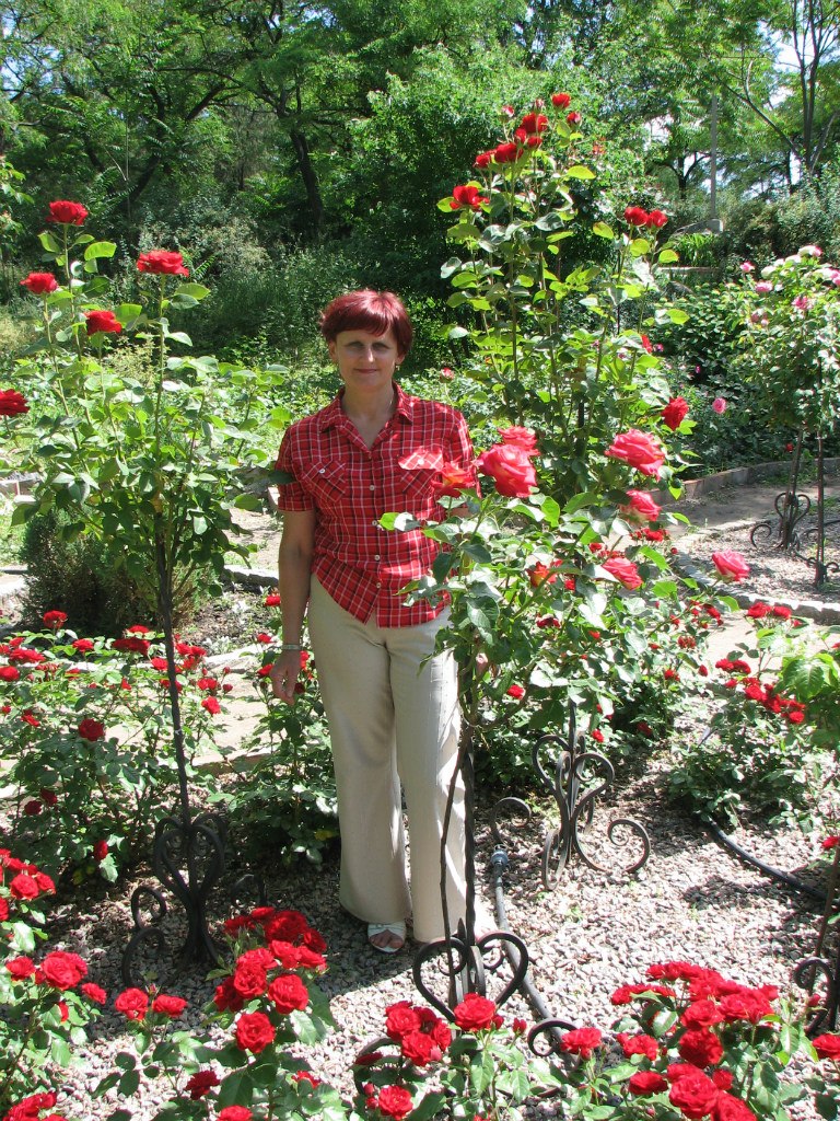 Анжела Сторожук | Пологи