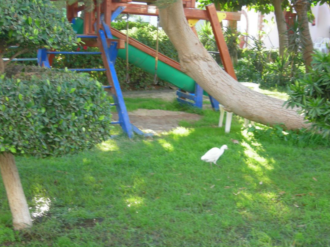 Валерий Кузнецов | Москва