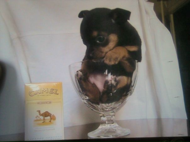 №2, Eva Yeliseeva, Минск №2, Eva Yeliseeva, Минск