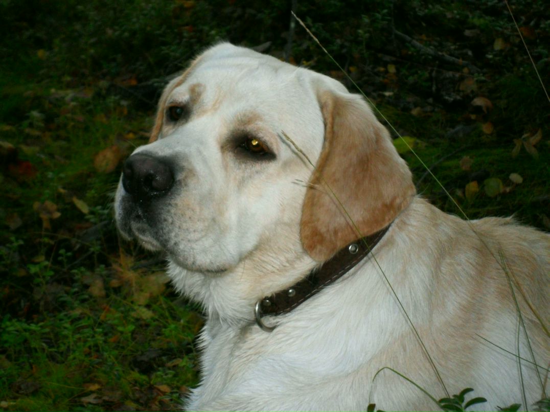 Оксана Клевцова николаевна | 