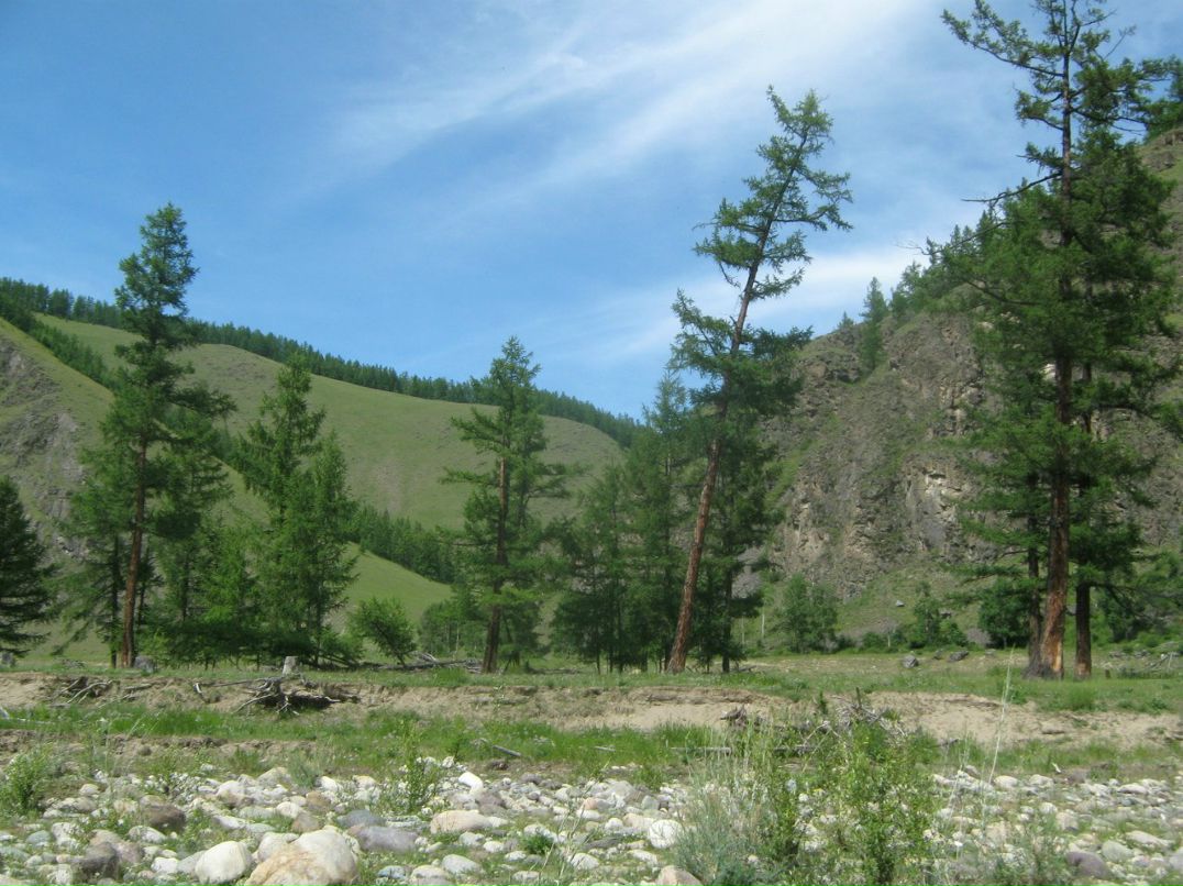 Димка Чижов Chigik | Иркутск