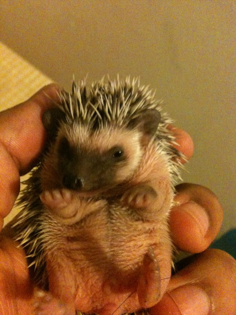 Jose Fabian | Ciudad de Guatemala