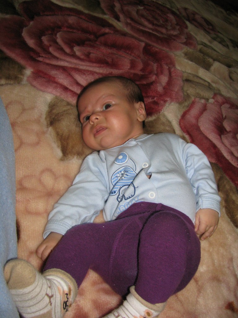 Ольга Шолохова | Фалешты