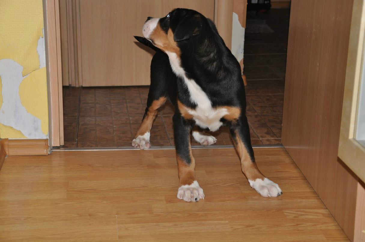 Дмитрий Милованов | Москва