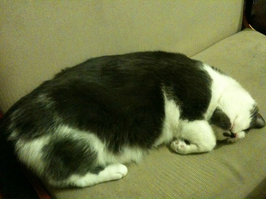 Аня Пилипович | Киев