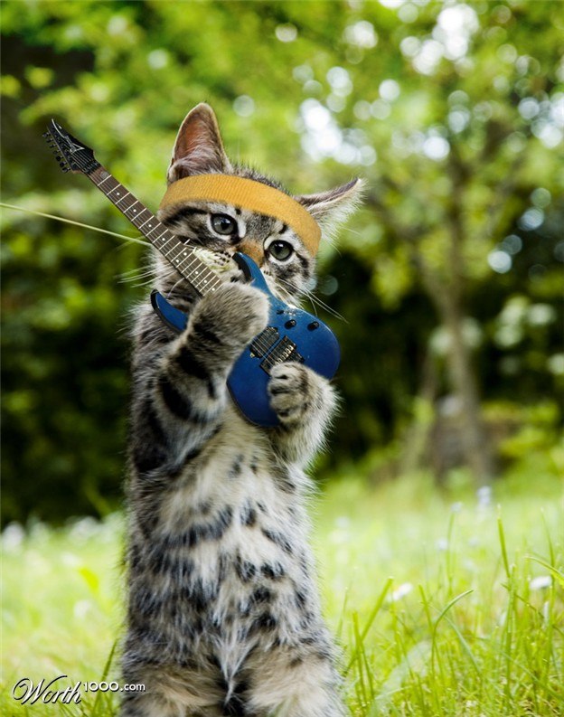 Vova Dzamba ▼▲▼▲▼▲ ▲▼▲▼▲▼ | Львов