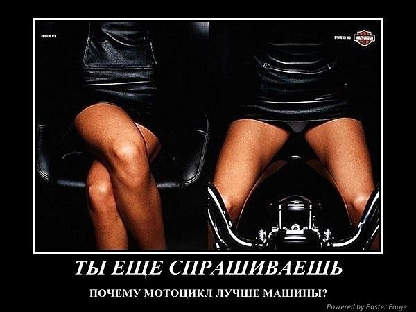 Діма Діденко | Лютиж