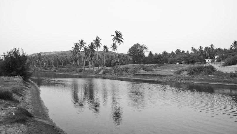 Александр Карпунин Shurikk | Санкт-Петербург