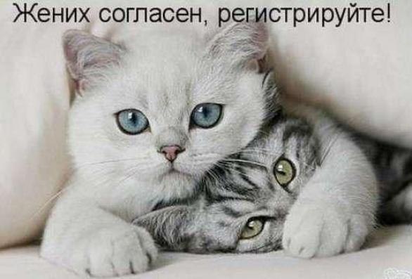 Натали Шорохова-Лифанова | Пермь