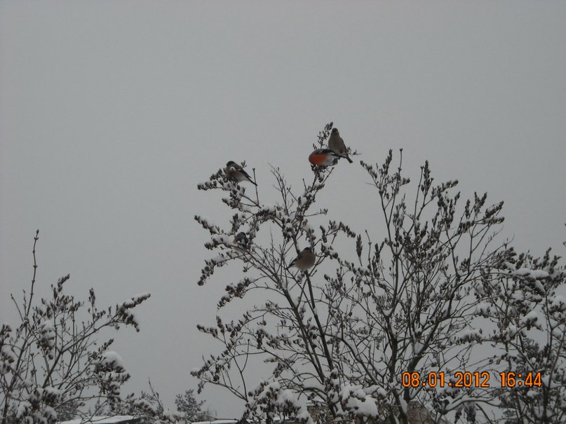 Юлия Малинина | Санкт-Петербург