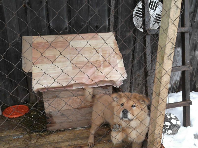 Саша Семенов | Старая Русса