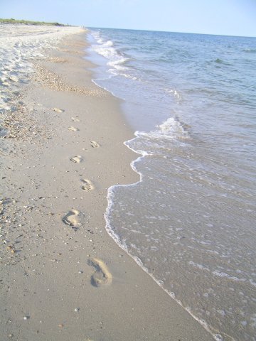 №162, Ирина Стеценко, Измаил №162, Ирина Стеценко, Измаил