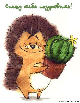 №95, Евгения Жаркова, 41 год, Воронеж №95, Евгения Жаркова, 41 год, Воронеж