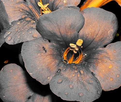 №56, Ольга Волик №56, Ольга Волик