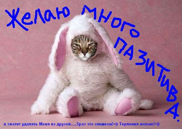 №69, Светлана Петрик, Псков №69, Светлана Петрик, Псков