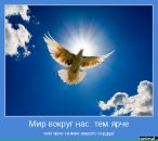 №16 Оля Кульнева : профиль, фото, статус - ВКонтакте №16 Оля Кульнева : профиль, фото, статус - ВКонтакте