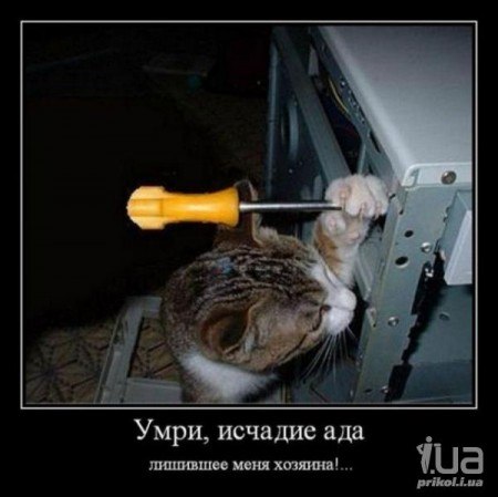 №13, Александр Кривенький №13, Александр Кривенький